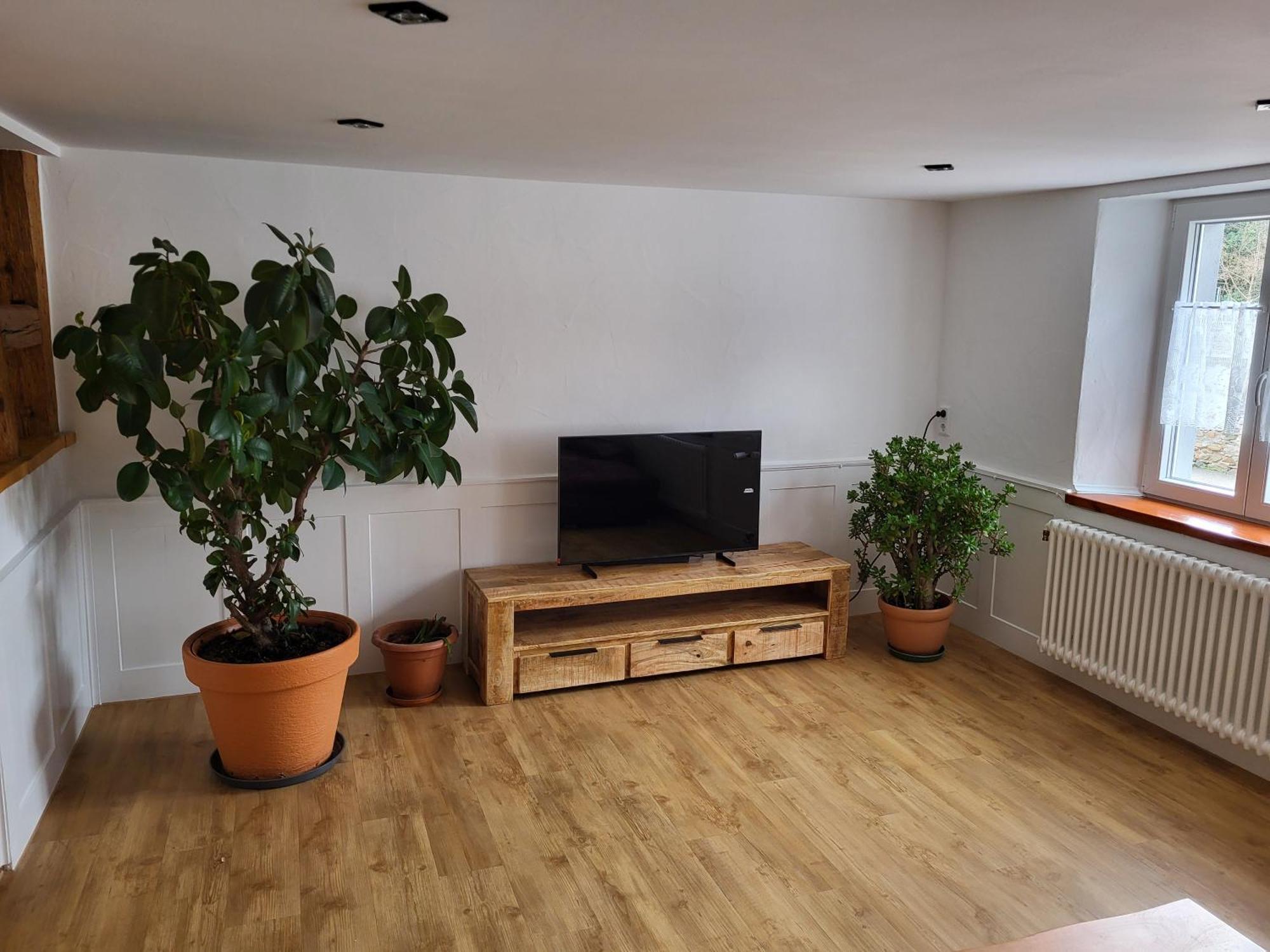 Ferienwohnung Maja Waldkirch Extérieur photo